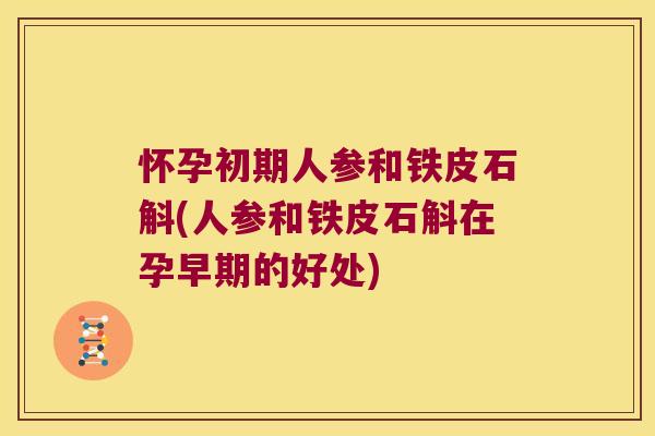 怀孕初期人参和铁皮石斛(人参和铁皮石斛在孕早期的好处)