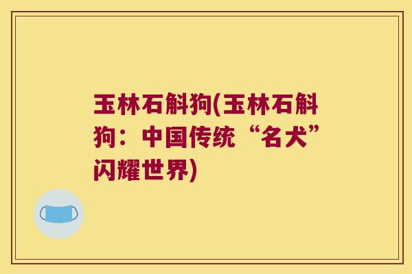 玉林石斛狗(玉林石斛狗：中国传统“名犬”闪耀世界)