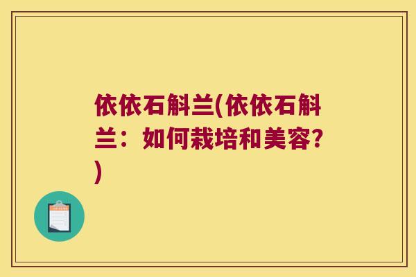 依依石斛兰(依依石斛兰：如何栽培和美容？)