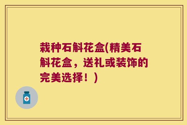 栽种石斛花盒(精美石斛花盒，送礼或装饰的完美选择！)
