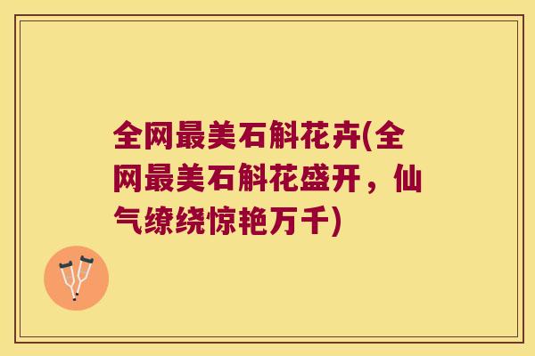 全网最美石斛花卉(全网最美石斛花盛开，仙气缭绕惊艳万千)