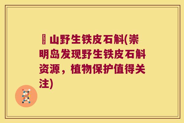崀山野生铁皮石斛(崇明岛发现野生铁皮石斛资源，植物保护值得关注)