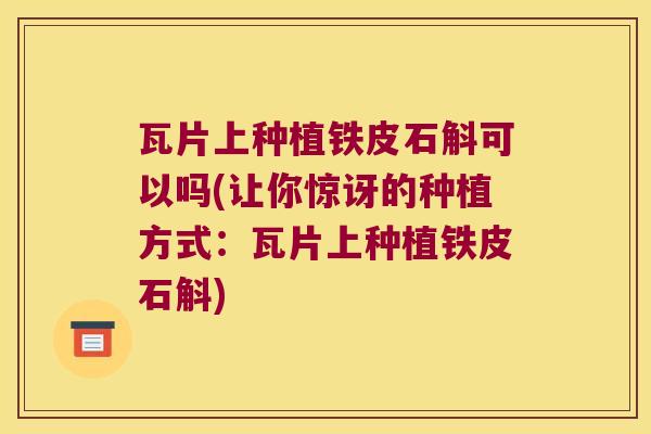 瓦片上种植铁皮石斛可以吗(让你惊讶的种植方式：瓦片上种植铁皮石斛)