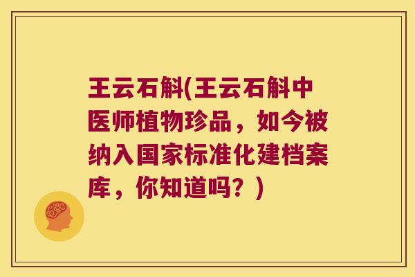 王云石斛(王云石斛中医师植物珍品，如今被纳入国家标准化建档案库，你知道吗？)