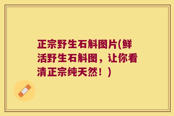正宗野生石斛图片(鲜活野生石斛图，让你看清正宗纯天然！)