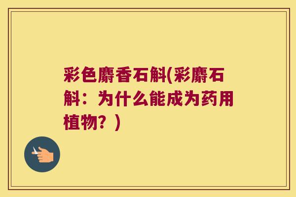 彩色麝香石斛(彩麝石斛：为什么能成为药用植物？)