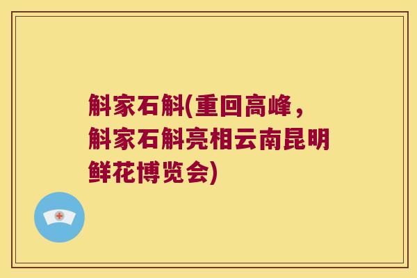 斛家石斛(重回高峰，斛家石斛亮相云南昆明鲜花博览会)