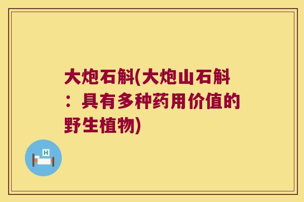 大炮石斛(大炮山石斛：具有多种药用价值的野生植物)