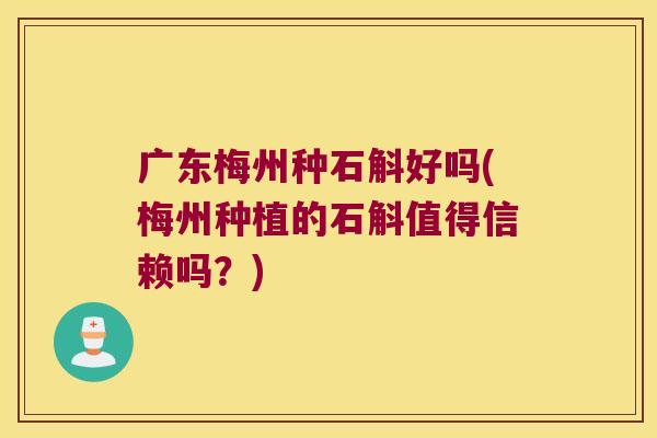 广东梅州种石斛好吗(梅州种植的石斛值得信赖吗？)
