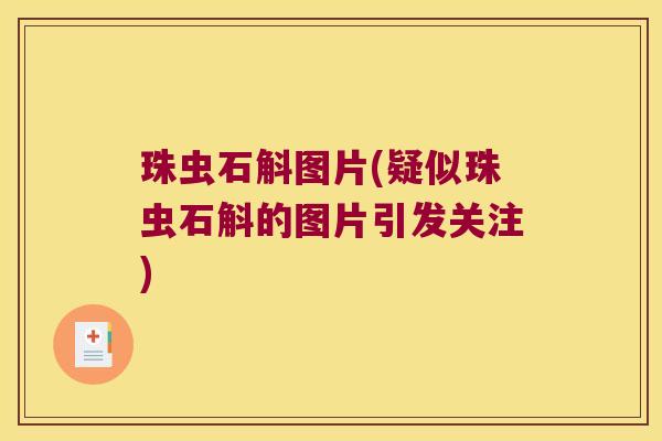 珠虫石斛图片(疑似珠虫石斛的图片引发关注) 珠虫石斛图片(疑似珠虫石斛的图片引发关注)