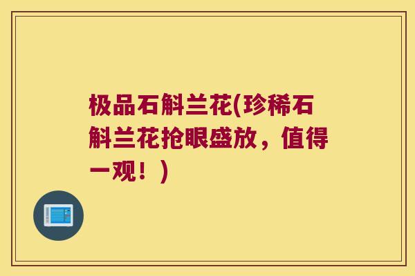 极品石斛兰花(珍稀石斛兰花抢眼盛放，值得一观！)