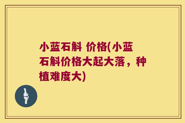 小蓝石斛 价格(小蓝石斛价格大起大落，种植难度大)