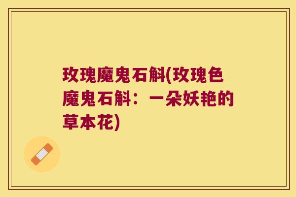 玫瑰魔鬼石斛(玫瑰色魔鬼石斛：一朵妖艳的草本花)