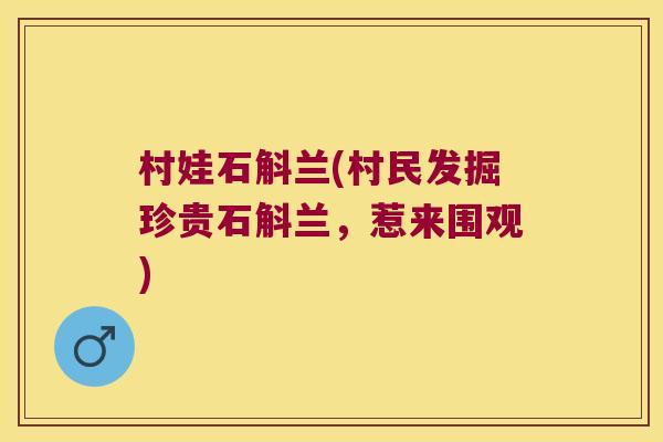 村娃石斛兰(村民发掘珍贵石斛兰，惹来围观)