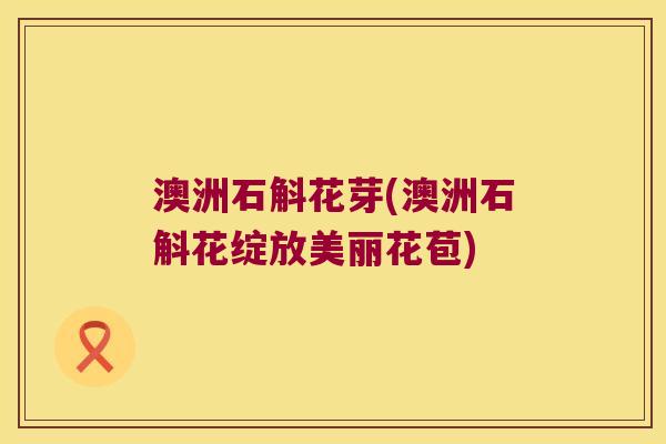 澳洲石斛花芽(澳洲石斛花绽放美丽花苞)