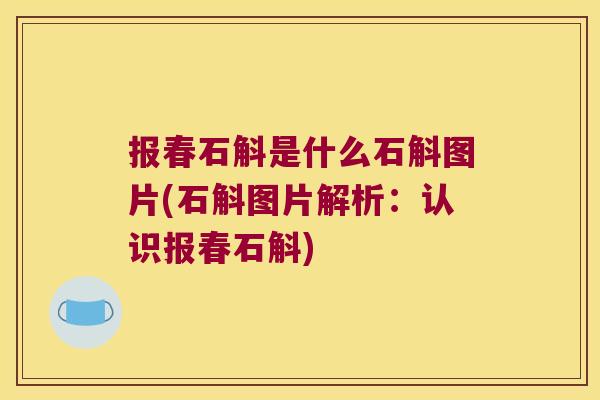 报春石斛是什么石斛图片(石斛图片解析：认识报春石斛)