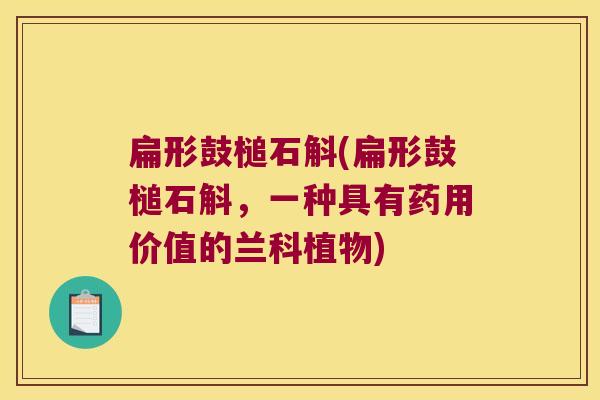 扁形鼓槌石斛(扁形鼓槌石斛，一种具有药用价值的兰科植物)