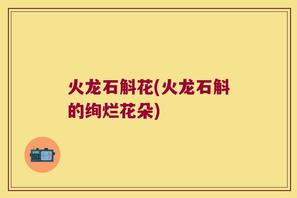 火龙石斛花(火龙石斛的绚烂花朵)