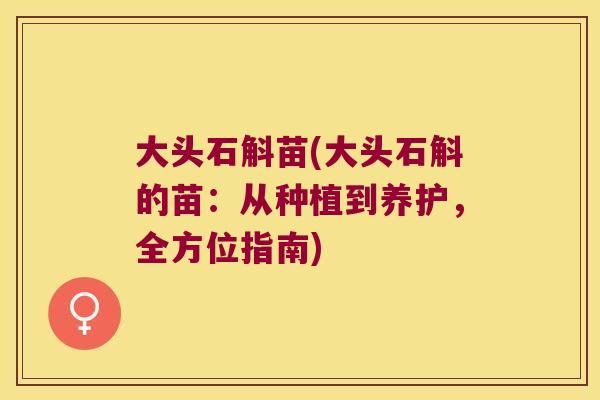 大头石斛苗(大头石斛的苗：从种植到养护，全方位指南)