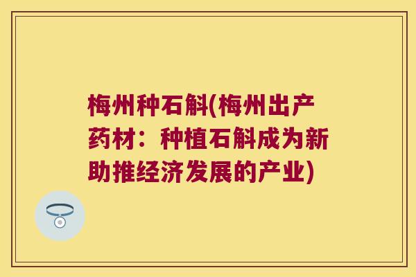 梅州种石斛(梅州出产药材：种植石斛成为新助推经济发展的产业)