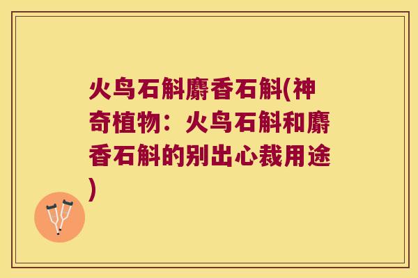 火鸟石斛麝香石斛(神奇植物:火鸟石斛和麝香石斛的别出心裁用途) 火鸟石斛麝香石斛(神奇植物:火鸟石斛和麝香石斛的别出心裁用途)
