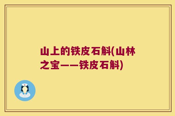 山上的铁皮石斛(山林之宝——铁皮石斛)