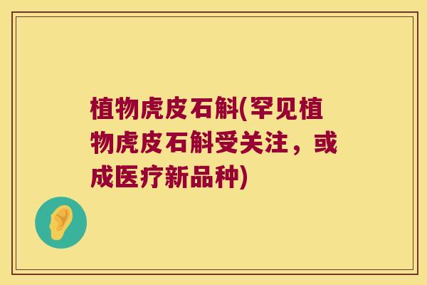 植物虎皮石斛(罕见植物虎皮石斛受关注,或成医疗新品种) 植物虎皮石斛(罕见植物虎皮石斛受关注,或成医疗新品种)