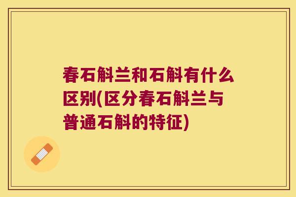 春石斛兰和石斛有什么区别(区分春石斛兰与普通石斛的特征)