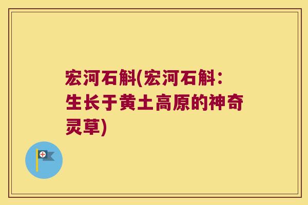宏河石斛(宏河石斛：生长于黄土高原的神奇灵草)