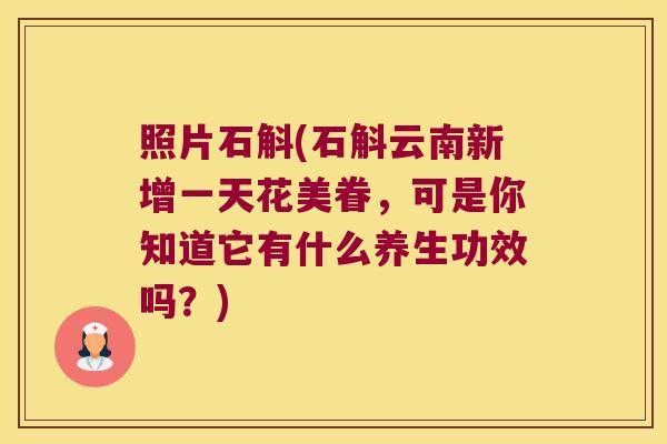 照片石斛(石斛云南新增一天花美眷，可是你知道它有什么养生功效吗？)