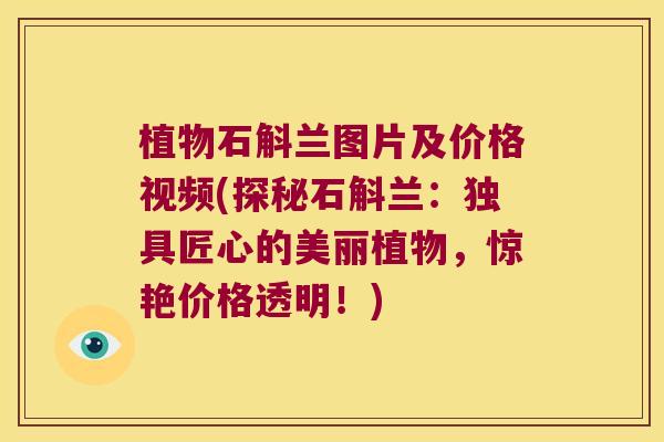 植物石斛兰图片及价格视频(探秘石斛兰：独具匠心的美丽植物，惊艳价格透明！)