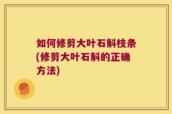 如何修剪大叶石斛枝条(修剪大叶石斛的正确方法)