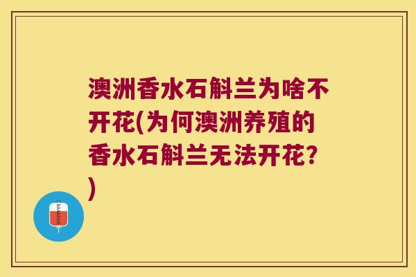 澳洲香水石斛兰为啥不开花(为何澳洲养殖的香水石斛兰无法开花？)