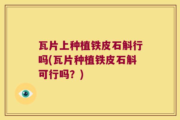 瓦片上种植铁皮石斛行吗(瓦片种植铁皮石斛可行吗？)