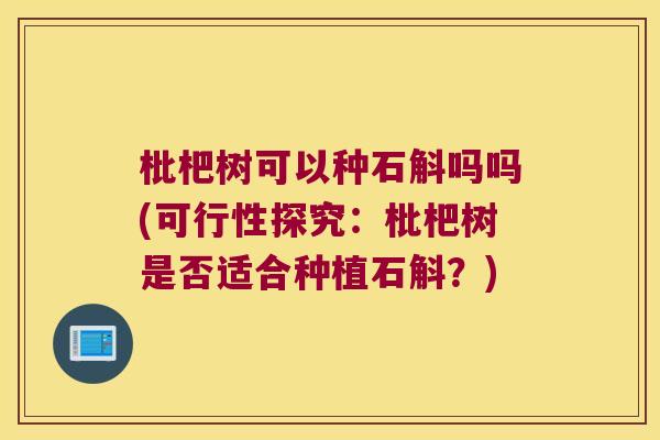 枇杷树可以种石斛吗吗(可行性探究：枇杷树是否适合种植石斛？)