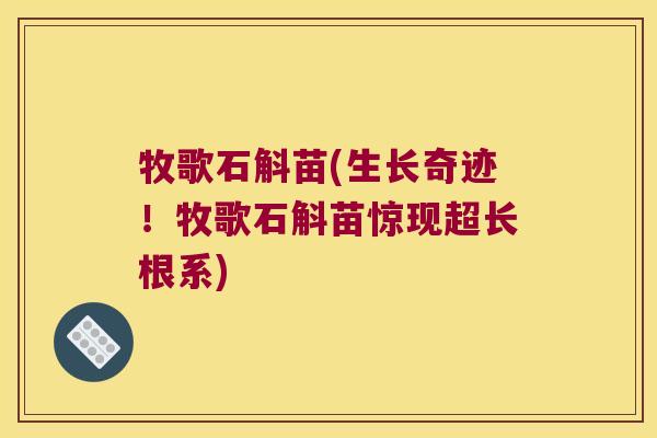 牧歌石斛苗(生长奇迹！牧歌石斛苗惊现超长根系)