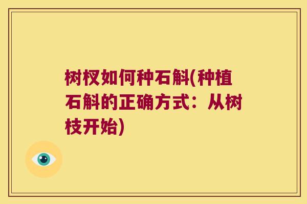 树杈如何种石斛(种植石斛的正确方式：从树枝开始)