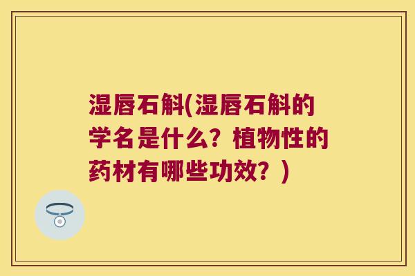 湿唇石斛(湿唇石斛的学名是什么？植物性的药材有哪些功效？)
