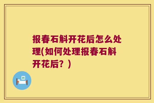 报春石斛开花后怎么处理(如何处理报春石斛开花后？)
