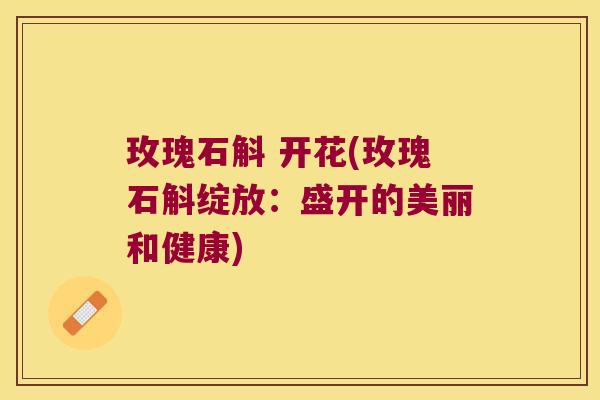 玫瑰石斛 开花(玫瑰石斛绽放：盛开的美丽和健康)