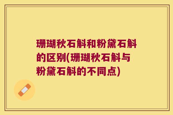 珊瑚秋石斛和粉黛石斛的区别(珊瑚秋石斛与粉黛石斛的不同点)
