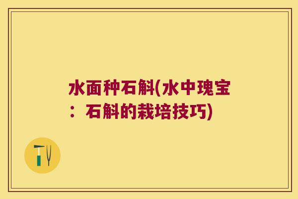 水面种石斛(水中瑰宝：石斛的栽培技巧)