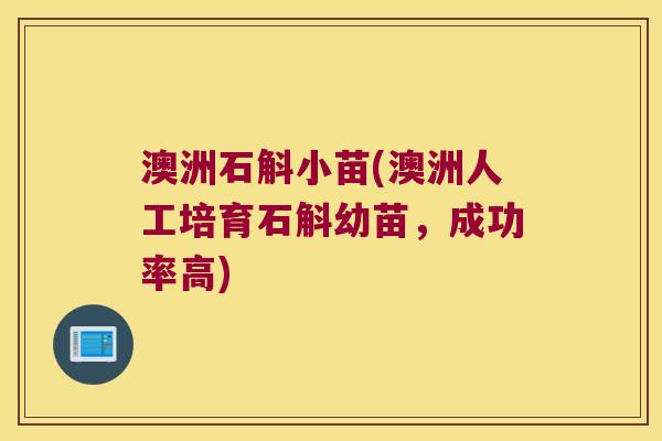 澳洲石斛小苗(澳洲人工培育石斛幼苗，成功率高)