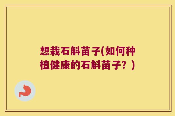 想栽石斛苗子(如何种植健康的石斛苗子？)