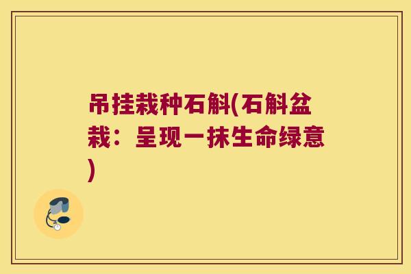 吊挂栽种石斛(石斛盆栽：呈现一抹生命绿意)