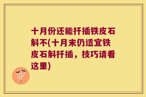 十月份还能扦插铁皮石斛不(十月末仍适宜铁皮石斛扦插，技巧请看这里)