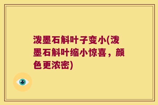 泼墨石斛叶子变小(泼墨石斛叶缩小惊喜，颜色更浓密)