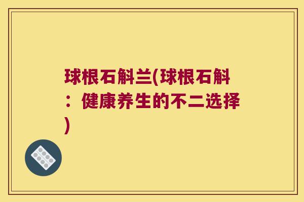 球根石斛兰(球根石斛：健康养生的不二选择)