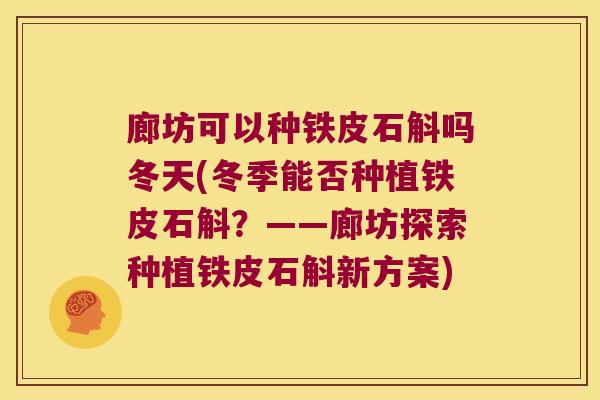 廊坊可以种铁皮石斛吗冬天(冬季能否种植铁皮石斛？——廊坊探索种植铁皮石斛新方案)
