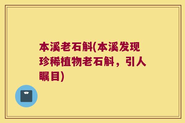 本溪老石斛(本溪发现珍稀植物老石斛，引人瞩目)